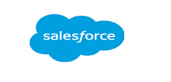 salesforce partner